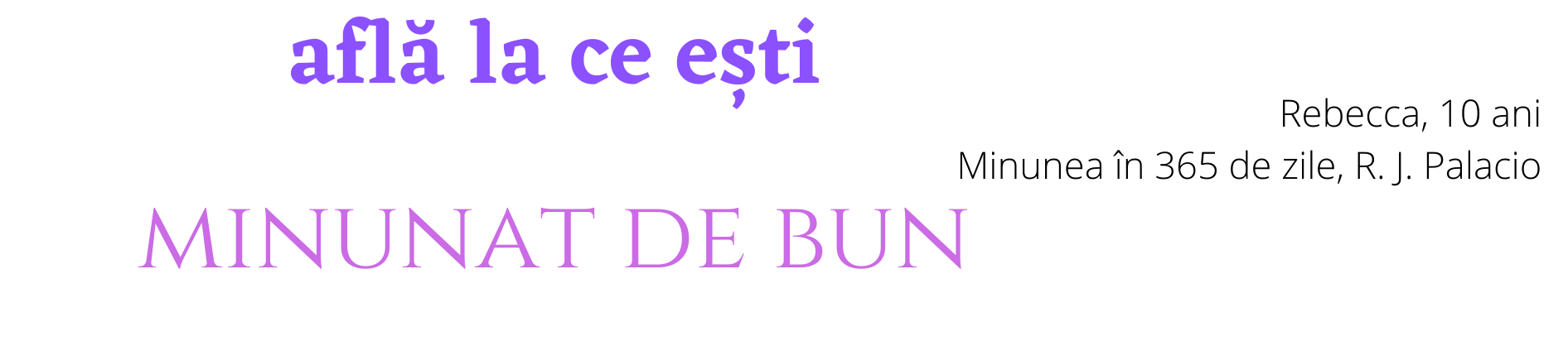 R.E.I. - Resurse Educație Incluzivă